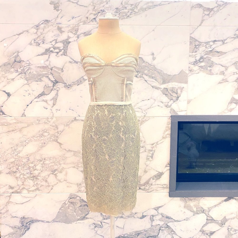 Proenza Schouler sweetheart pale green laced dress